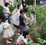 송림초 병설유치원, 학교 텃밭 가꾸기 생태친환경교육