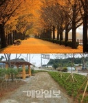 충남 더 행복한 삶의 숲 조성  6개 사업에 1142억 투입