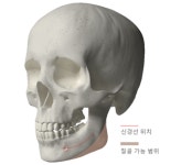 [유지한 원장 건강 talk] 안면윤곽 상담 전 알아 두면 좋은 용어 1탄-신경선