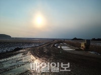 보령 남포 간척지 관리 감독 부재로 우량농지 폐해 속출