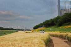 금천구 서울 서남권 4개 자치구, 안양천 명소화 힘모은다