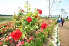 [인터뷰 민선7기 3주년 이성 구로구청장] 구로구 산림・하천 어우러진 축복의 땅, 다양한 녹색 인프라 구축