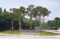 청운대학교, 사학비리 교수 중징계 처분 편법 논란