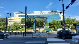 고양시 더 편하고 안전하게, 보행자를 위한 진짜 횡단보도