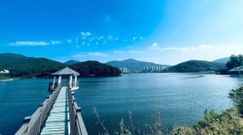 백운호수 푸르지오 숲속의 아침에 몰려든 인파…최상급 호텔리조트 같은 서비스  