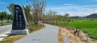 신안군, 2022년 도시숲 우수사례 가로수 우수상 수상