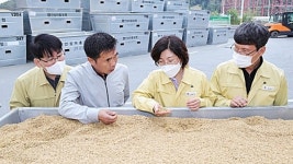 김보라 안성시장, 추곡 수매 현장 방문 농업인 격려