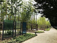 평택시 도시숲 분야 전국 5관왕
