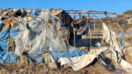 구미시, 하천에 불법건축물 방치 봐주기 의혹