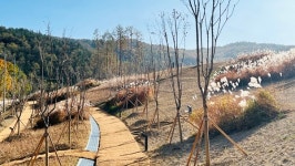 구포 쓰레기매립장 새로운 도시숲 다온숲 조성