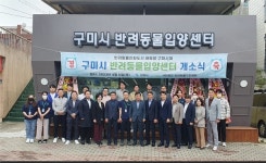 구미 반려동물 편하게 입양하세요~