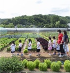 금천구, 이달부터 10월까지 금천 힐링가족 캠핑농장 운영