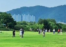 구미시, 미허가 파크골프장 양성화 위해 팔 걷고 나서