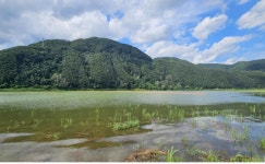 강원특별자치도, 소양호 녹조 확산 방지대책 추진