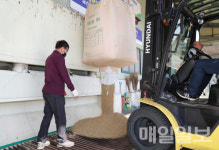 태안군, 2023년산 공공비축 미곡 매입…삼광·새일미 2개 품종