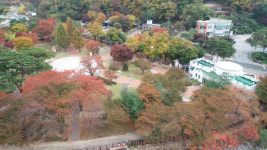 깊어가는 가을, 양주로 감성여행 떠나볼까요?