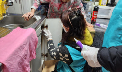 서대문구 천연동, 해충 ZERO, 클린 홈 만들기 사업 추진