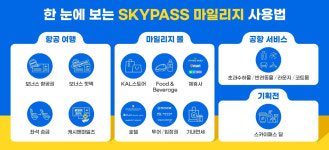 대한항공 스카이패스 마일리지, 잘 썼다고 소문나는 꿀팁은?