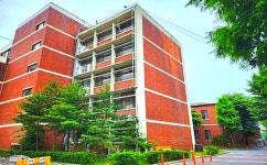 양천구, 유치원ㆍ학교 안 위험수목 정비 한다