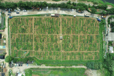 인천 남동구, 2024년 공공주말농장 텃밭 분양 시작