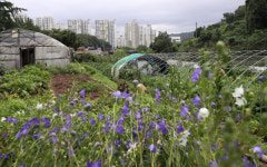 그린벨트 해제… ESG 추세 역행 vs 지역균형개발