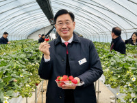 전진선 양평군수, 딸기농장 방문 친환경농산물, 판로 확대할 것