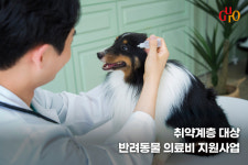 구로구, 올해 취약계층 반려동물 의료비 100마리 지원