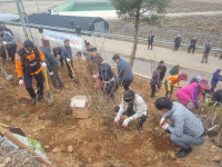 옹진군 북도면, 제79회 식목일 기념 나무심기 행사 실시