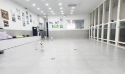 구미시, 반려동물의 새로운 메카로 부상…종합 문화공간 조성