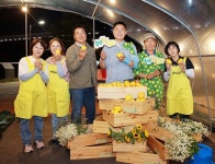 칠곡군, 참외 퍼뜩시장 성황리 개최