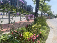 강서구, 도심 곳곳에 매력정원 조성 눈길