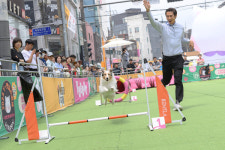 [양천구 포토] 양천구, 지자체 최대규모 반려동물 문화 축제 Y-펫밀리 성료