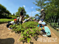 당진시, 2024 어린이 농부학교 큰 호응