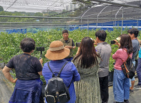 평택시, 스마트농업인 SNS 서포터즈 팸투어 진행