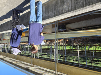 곡성군, 여름철 재해 대비 축사시설 특별 점검 나서