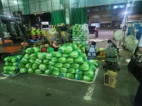 강원특별자치도, 강원농협·농협가락공판장 등 주요 관계자 간담회