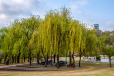 달빛무지개분수 등 인생샷… 서울시 매력 포토존 인기