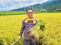 구미 신동에 올해 첫 벼 베기