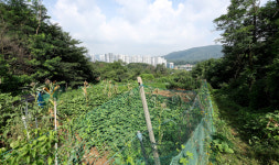 서울시, 그린벨트 토지거래 집중 조사 시행