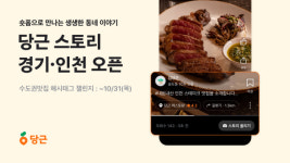 당근 숏폼 서비스 당근 스토리, 경기·인천까지 확대 오픈