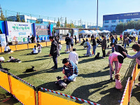 화성시, 2024 반려동물 행복나눔 축제 성황리 마무리