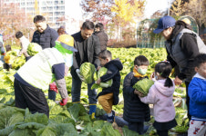 구로구, 오류IC 도시농업체험장서 어린이들과 작물 수확 행사