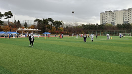 화성시, 제5회 화성시장배 경기도장애인 게이트볼 대회 개최