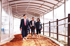 의왕시, 시청 소공원 맨발 걷기 길 개장