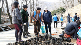 안성시 삼죽면 국사봉산악회, 국사봉 등산로 식목행사 실시