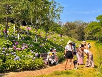 도시와 자연의 찰떡궁합…구미시, 탄소 중립·초록 도시 대변신 중