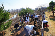 평택시, 참여의 숲에 (주)카카오와 함께하는 (사)더 나눔 무궁화동산 조성