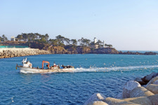 경주 동해안의 관문 감포항, 새 백년의 길로