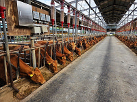 안성시, 2025년 상반기 사료구매 정책자금 160억 지원