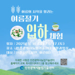 인천시 농업기술센터, 여름 절기 입하 맞이 체험행사 운영